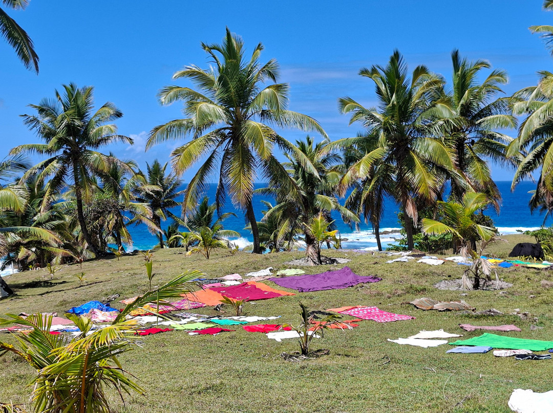 Piscine Naturelle d’Ambodiatafana-Nosy Boraha必去景点