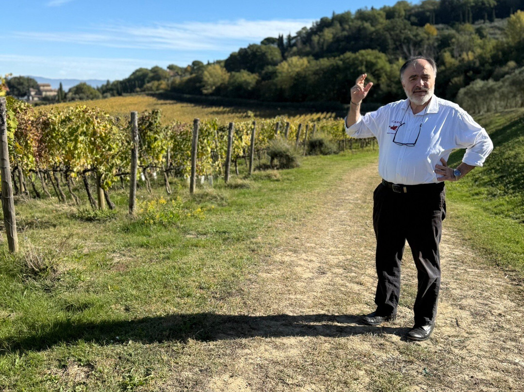 Icario Winery-蒙特普尔恰诺必去景点