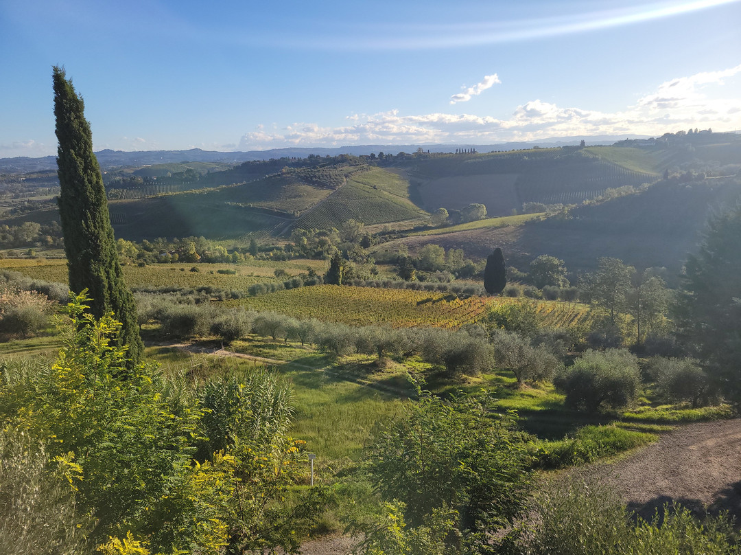 Poderi Arcangelo Winery-圣吉米尼亚诺必去景点