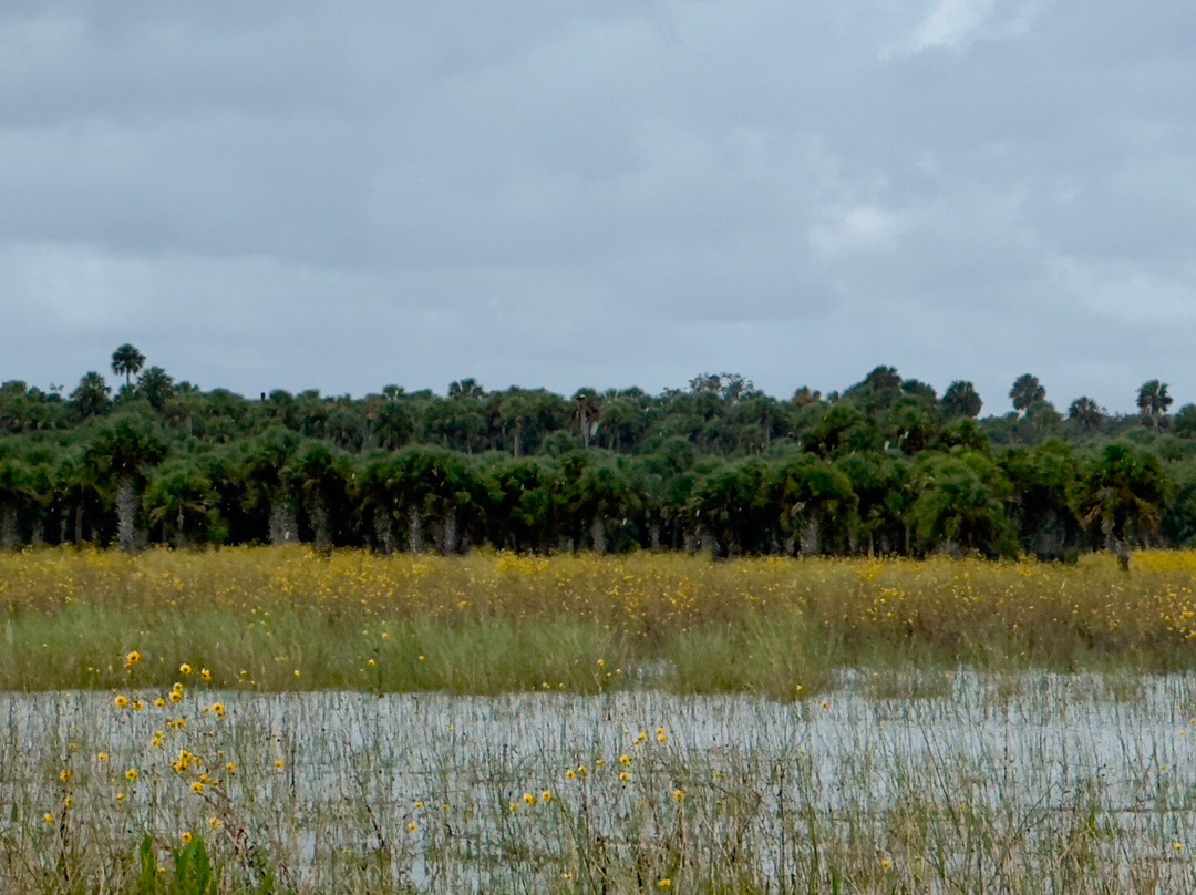 Black Hammock Adventures-Oviedo必去景点