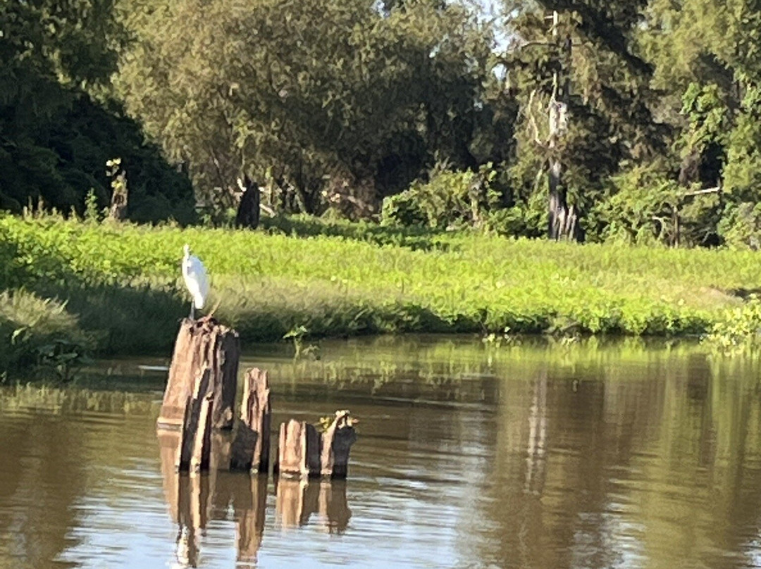 McGee's Louisiana Swamp & Airboat Tours-Henderson必去景点