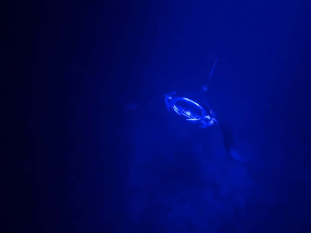 Anelakai Adventures-凯乌渥必去景点