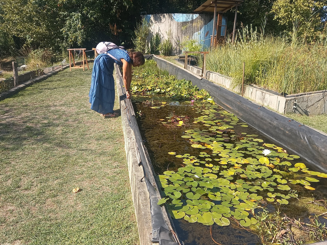 Giardino Botanico Rea-Trana必去景点