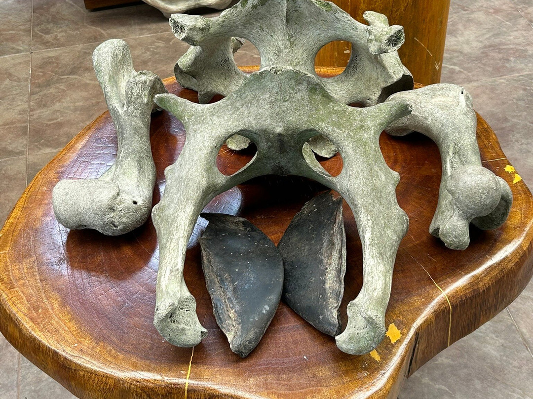 Reserva El Chato-阿约拉港必去景点