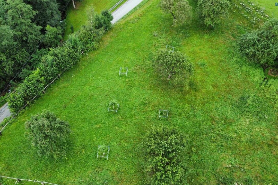 Homecamping Rothenthurm