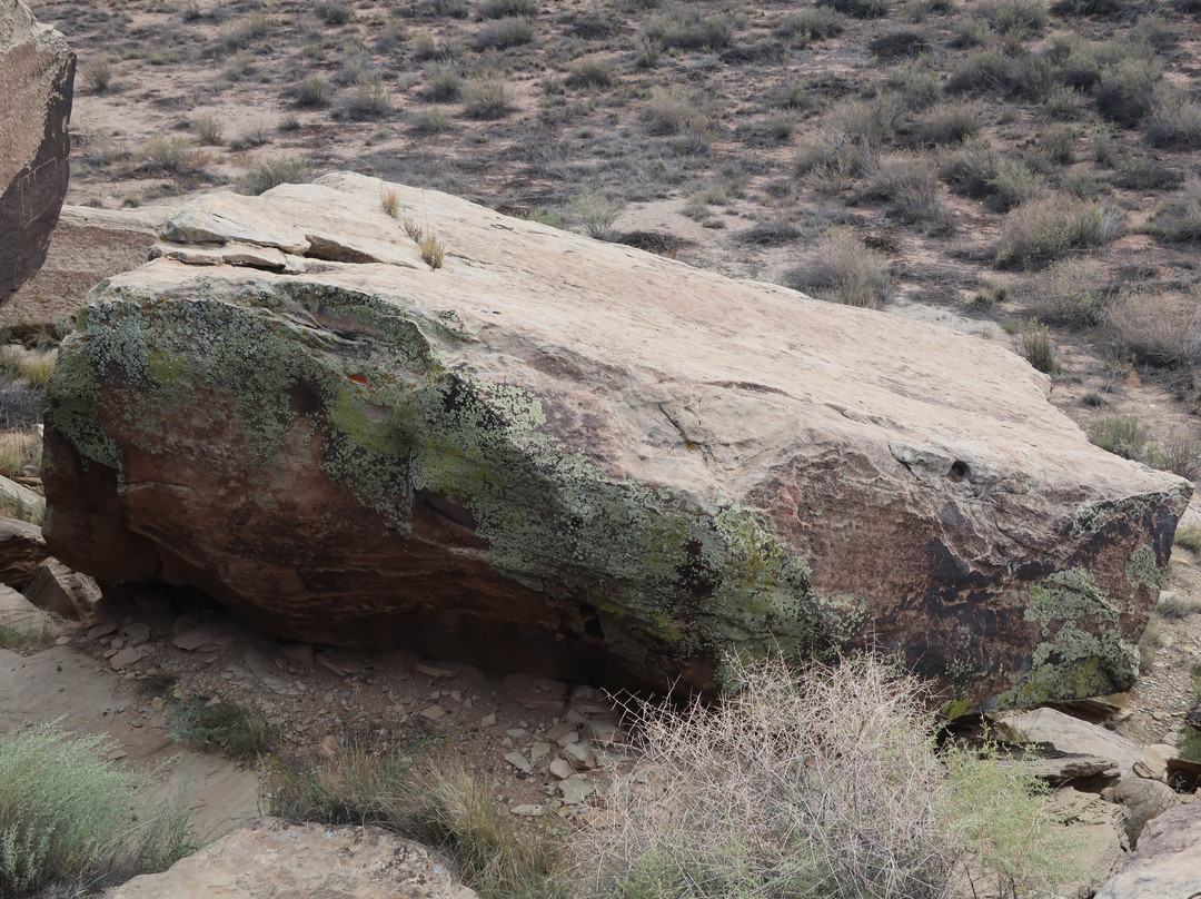 Petrified Forest National Park-霍尔布鲁克必去景点
