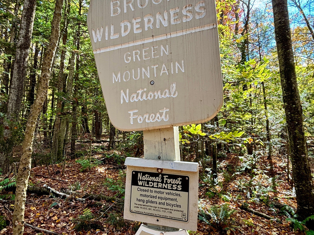 Lye Brook Falls-曼彻斯特必去景点