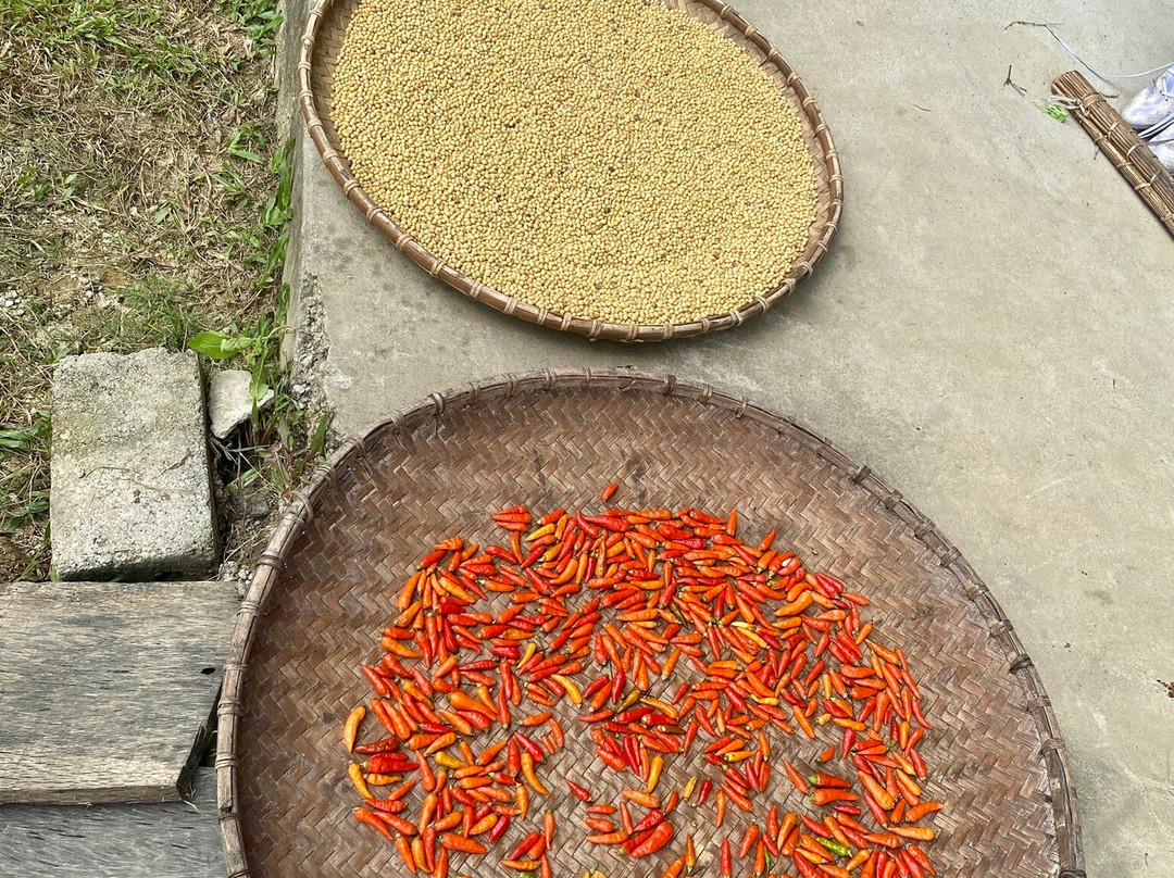 Hanoi Voyages-河内必去景点