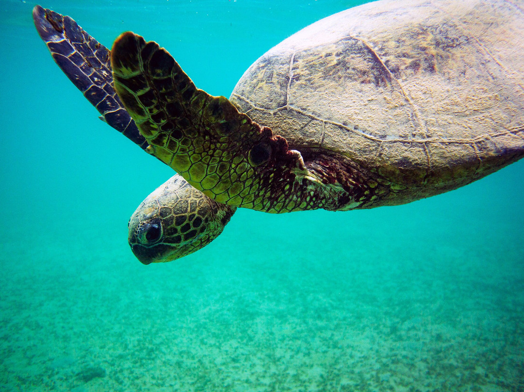 阿尼尼海滩-可爱岛必去景点