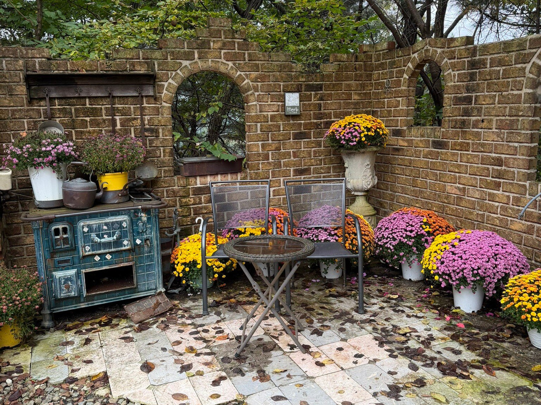 Herb Island-抱川市必去景点