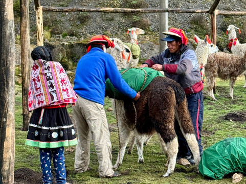 Tierras de los Andes-库斯科必去景点