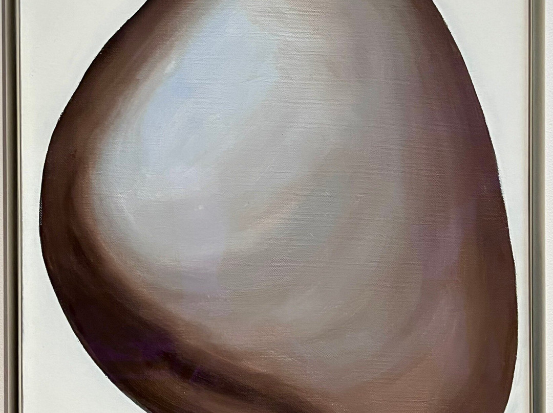 Georgia O'Keeffe Museum-圣菲必去景点