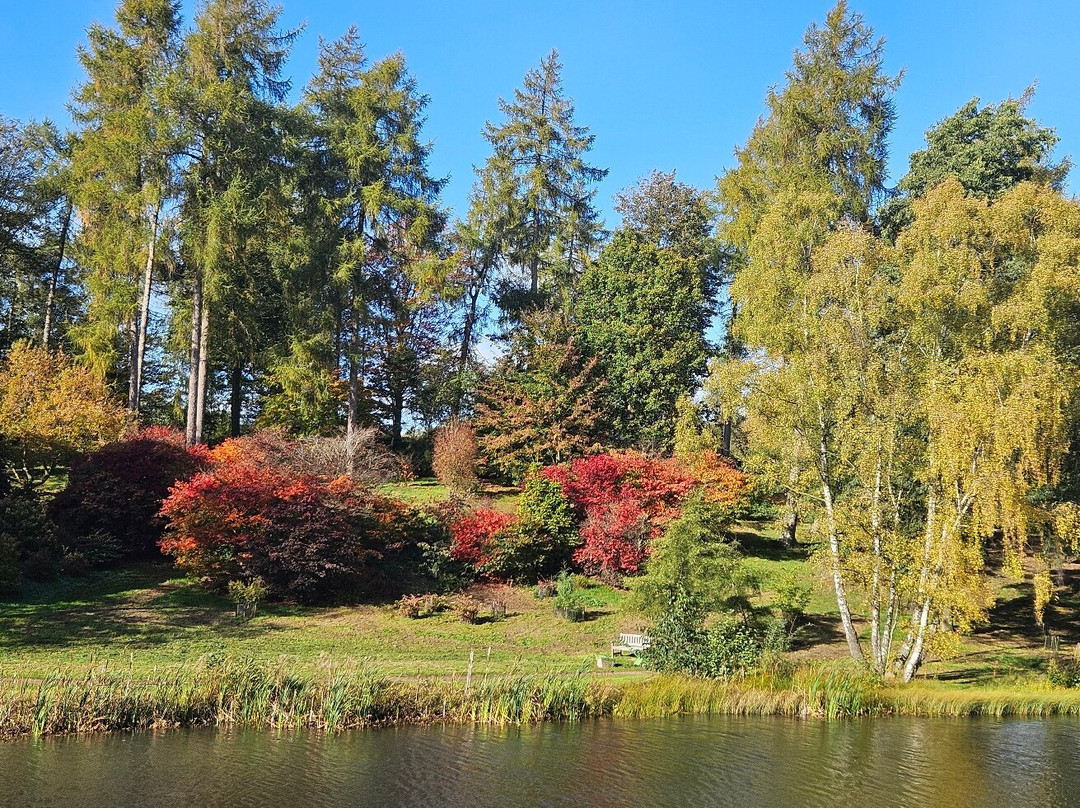 Yorkshire Arboretum-霍华德城堡必去景点