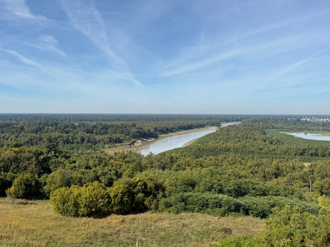 Discovery Bicycle Tours-伍德斯托克必去景点
