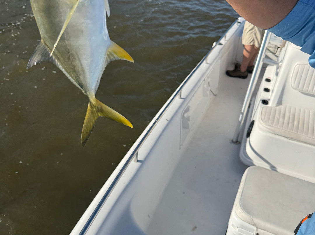 Everglades City Fishing Charters-大沼泽地必去景点