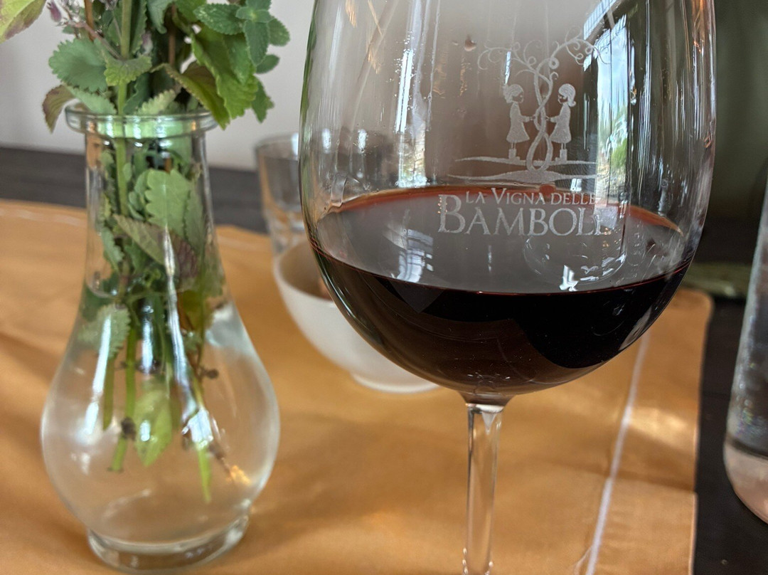 Azienda Agricola Il Palagio di Panzano-Panzano in Chianti必去景点