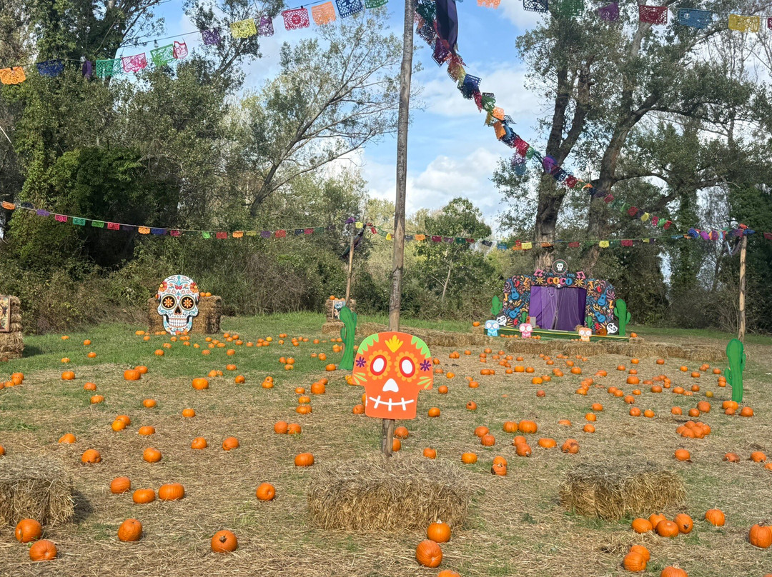 Oasi Vivinatura Lagosele-Eboli必去景点