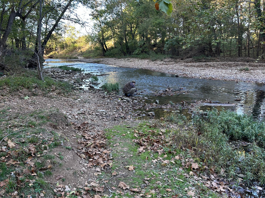 Fantastic Caverns-斯普林菲尔德必去景点