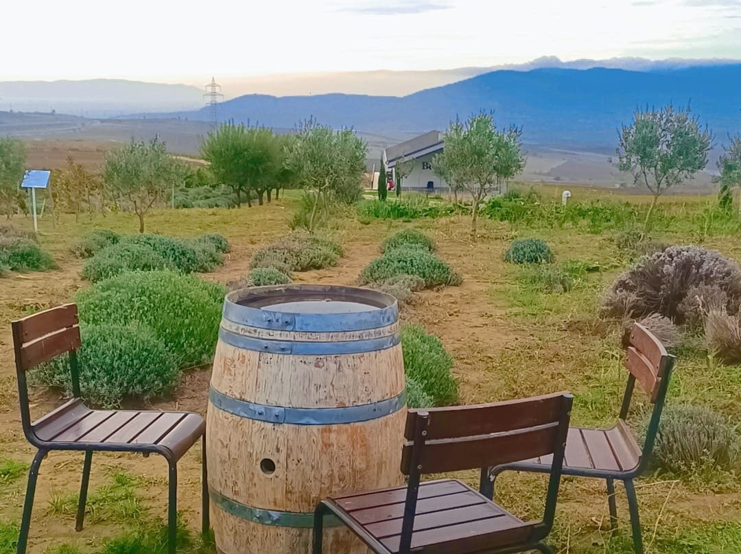 Barbare Vineyards-泰基尔达必去景点