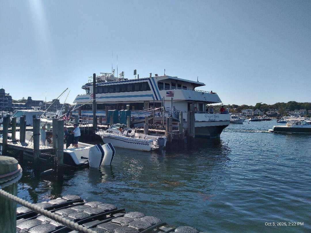 Hy-Line Cruises-海恩尼斯必去景点