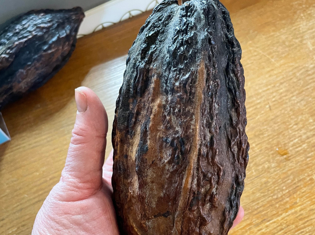 Zaans Museum-赞丹必去景点