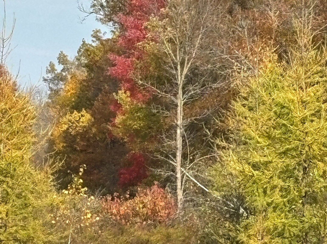 Mille Lacs Kathio State Park-Onamia必去景点