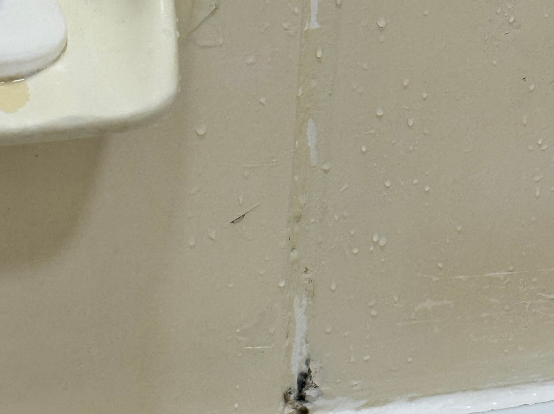 iStay Hotel Ciudad Juarez主图