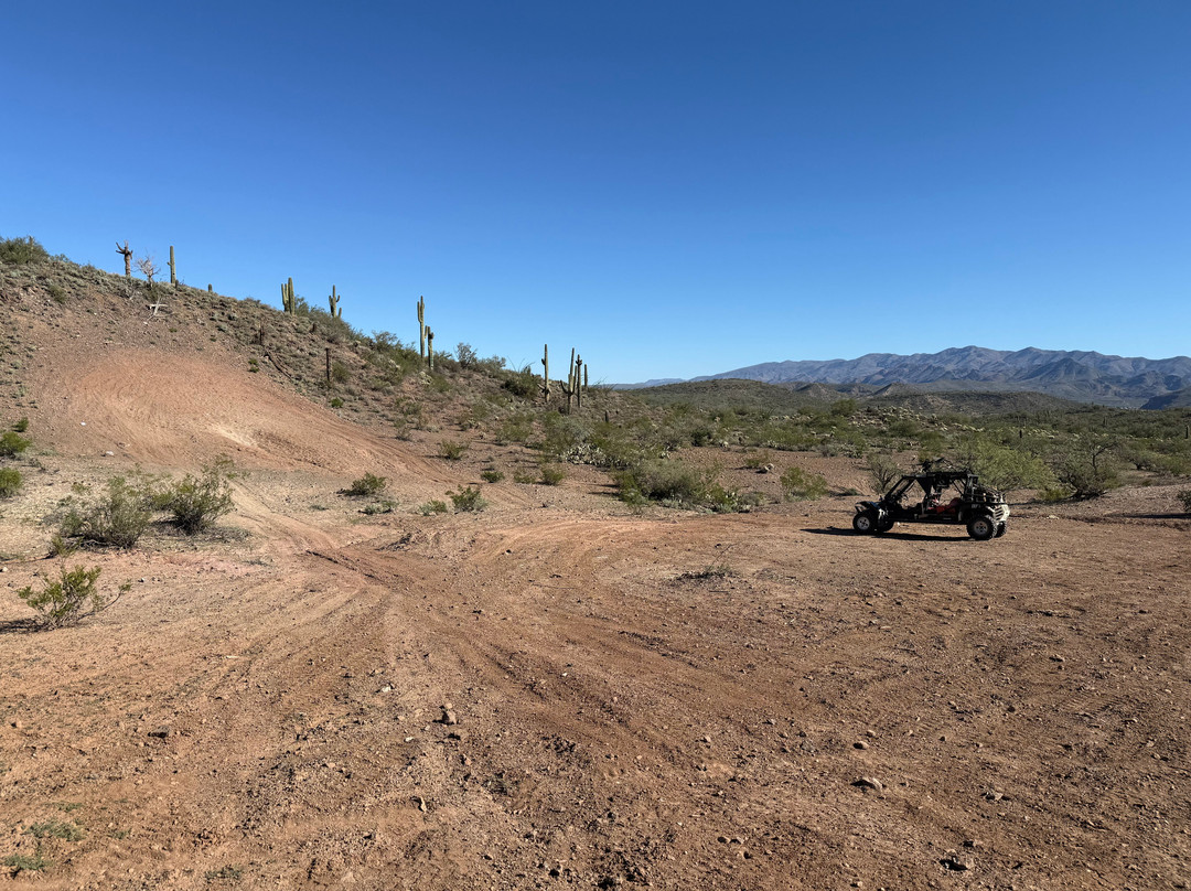 Desert Wolf Tours-凤凰城必去景点