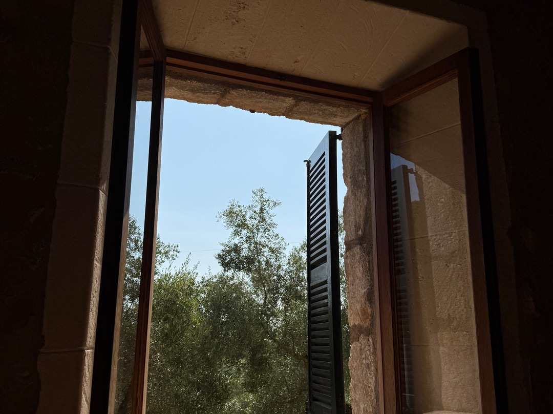 The Yoga Concept-克里斯托港必去景点