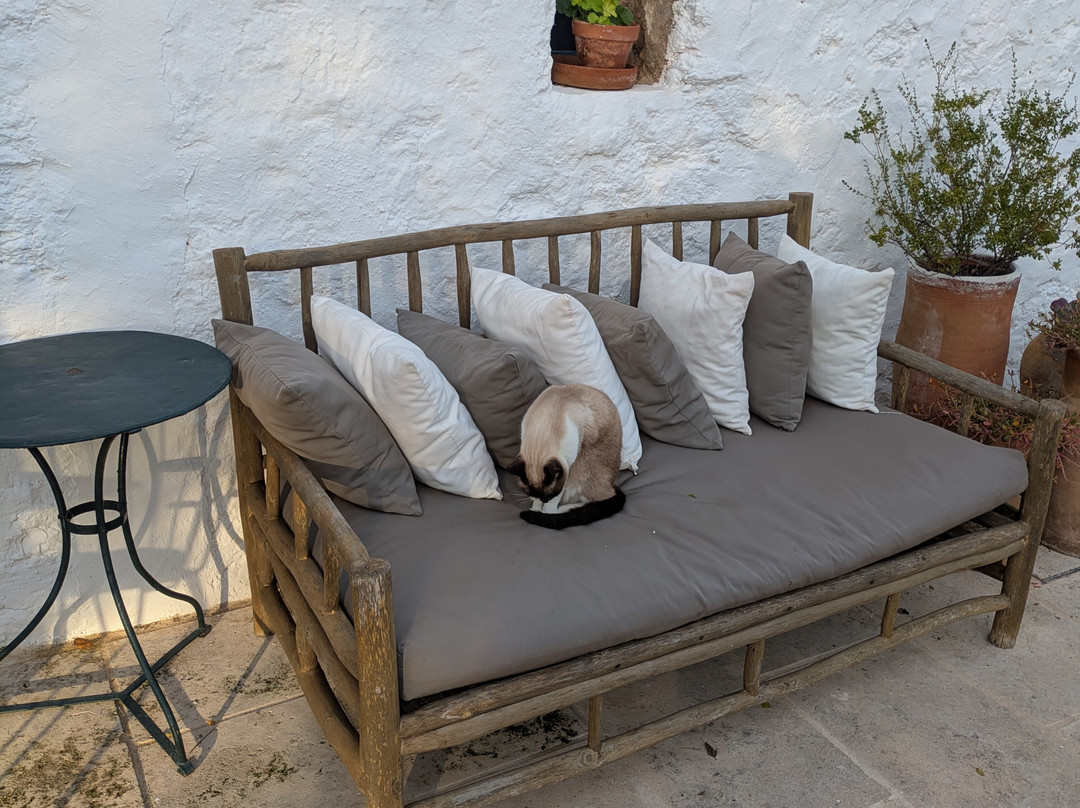 Can Quince Balafia Ibiza Hotel主图