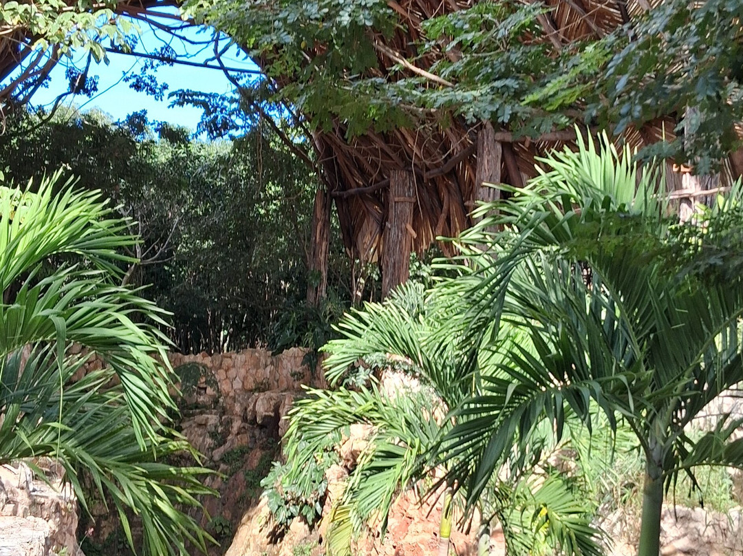 Cenote Ki'ichpam Xunaan-巴利亚多利德必去景点