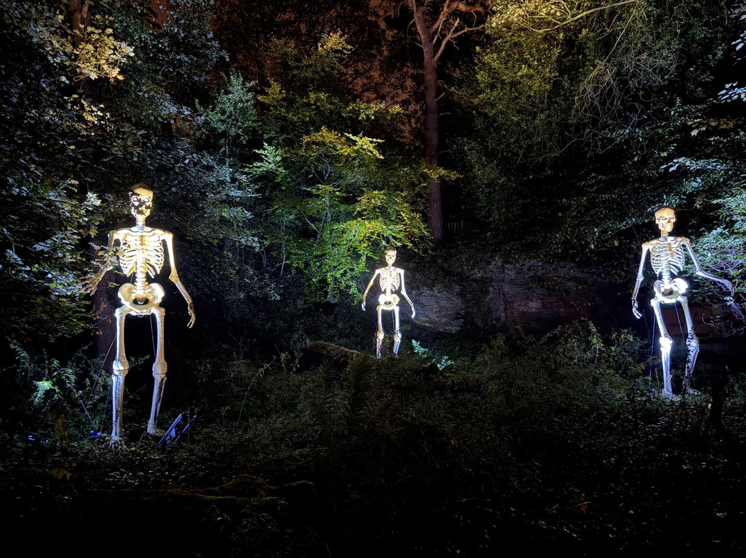 National Trust - Quarry Bank-威姆斯洛必去景点