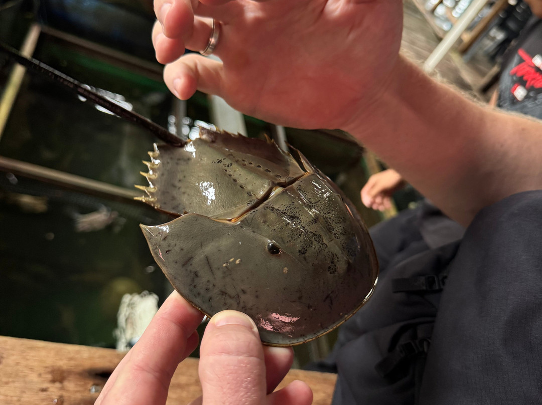 Russian Guide in Langkawi-兰卡威必去景点