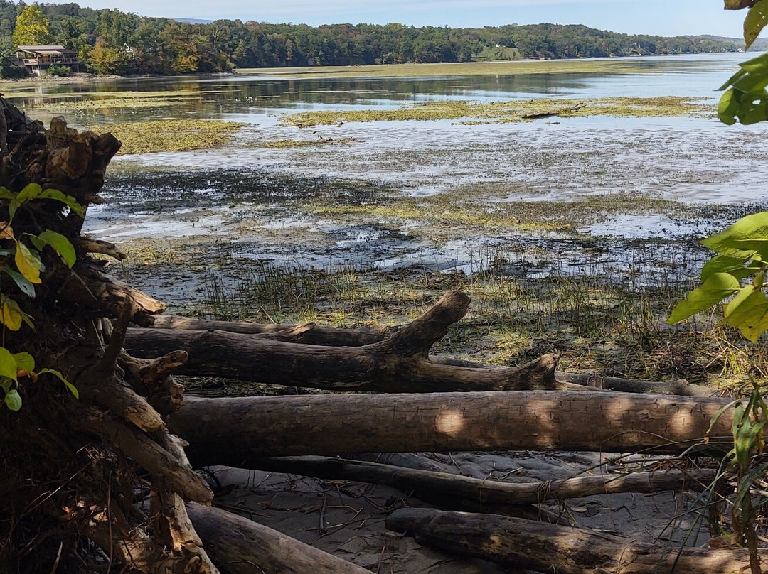 Saugerties Lighthouse-Saugerties必去景点