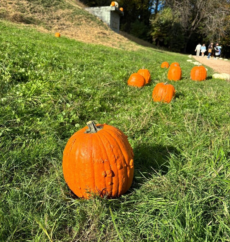 Castello delle Zucche-Oleggio Castello必去景点