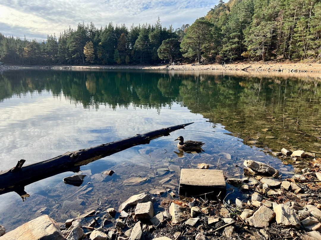 An Lochan Uaine-阿维莫尔必去景点