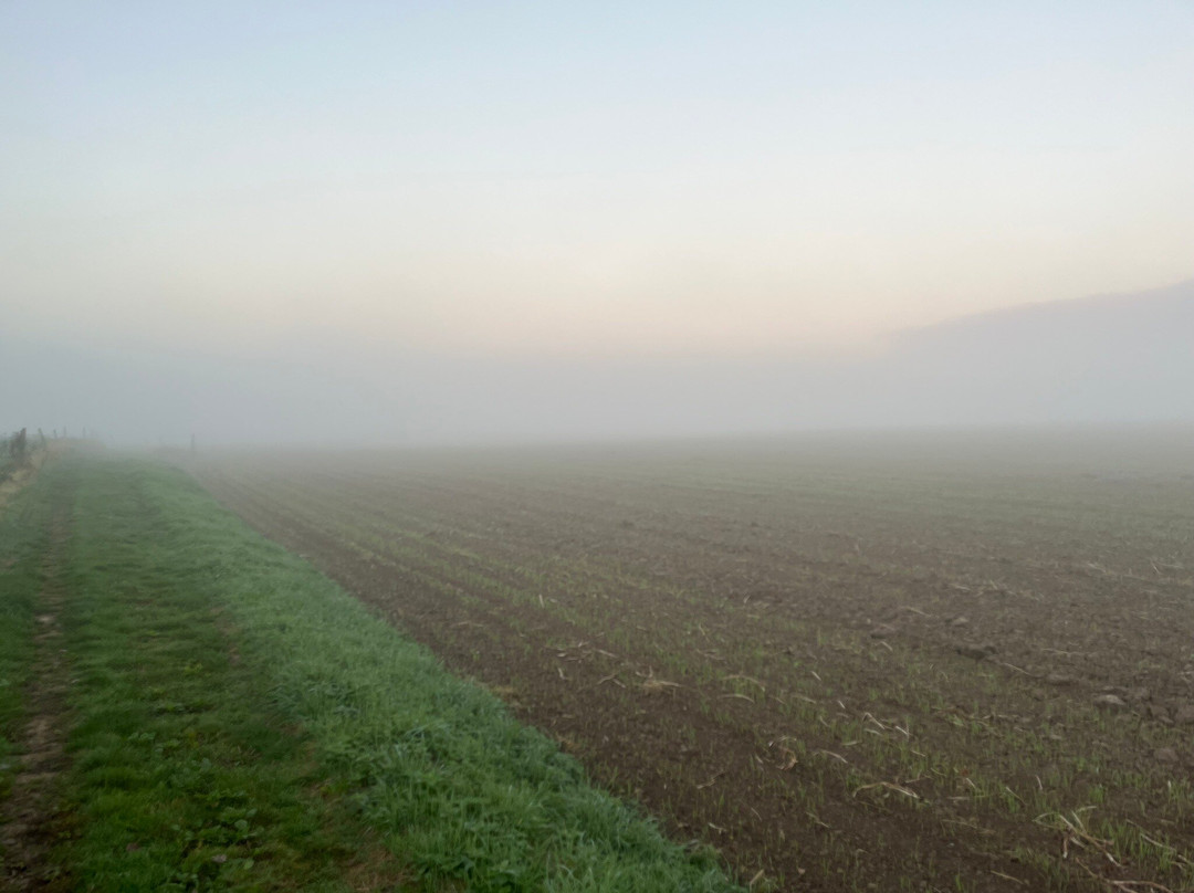 Talbot House - Guest House主图