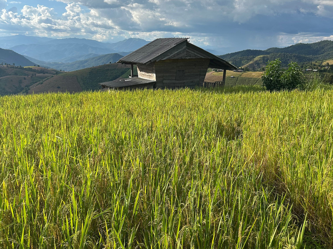 Thai Eco Trek Adventure-清迈必去景点