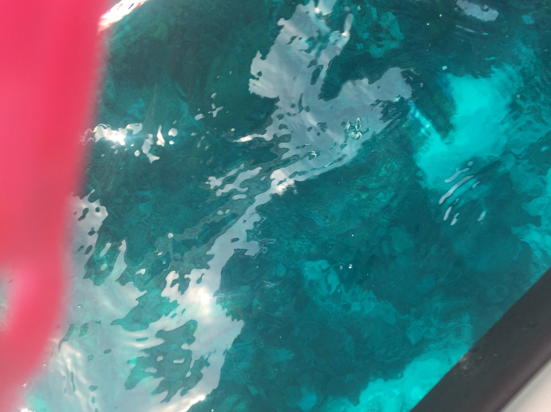 仙本那马布岛潜水度假村主图