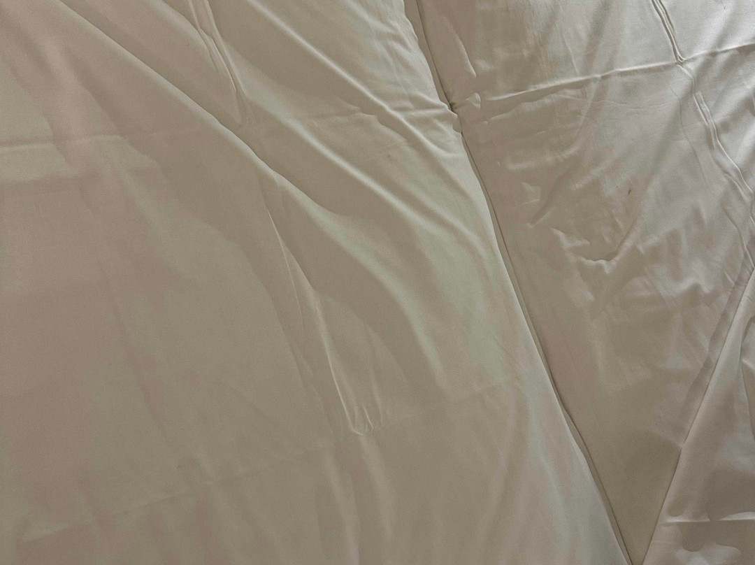 Reina Cristina Hotel主图