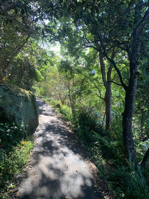 Cremorne Reserve-Cremorne Point必去景点