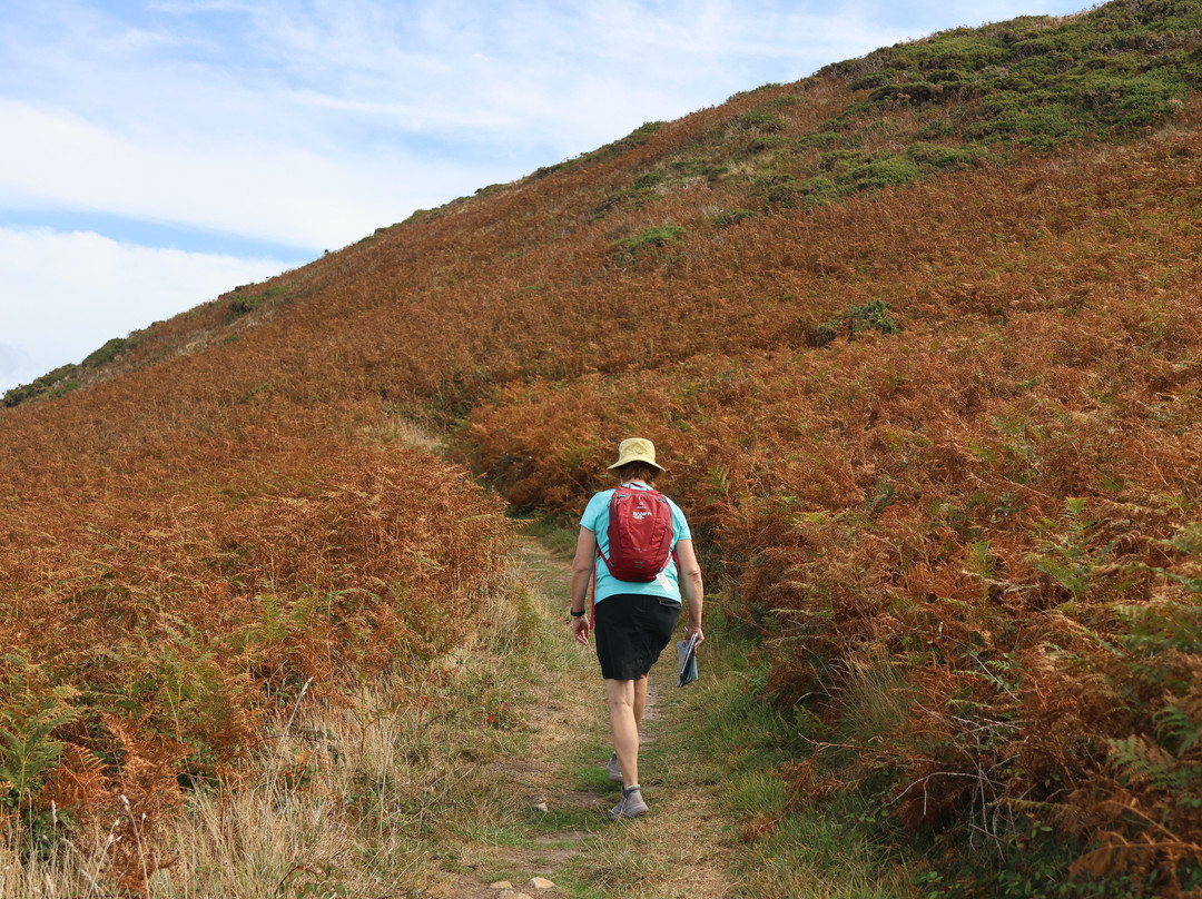 Alderney Coastal Path-Alderney必去景点