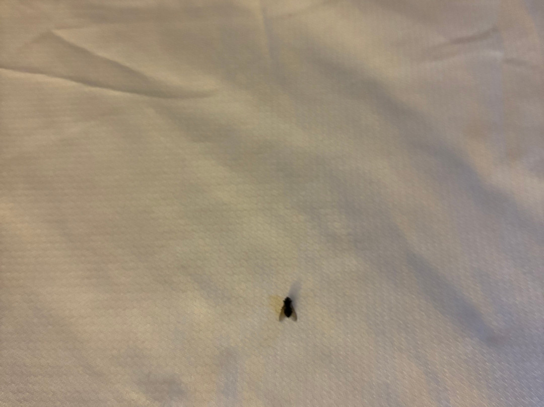 Holiday Inn Christiansburg Blacksburg By IHG主图