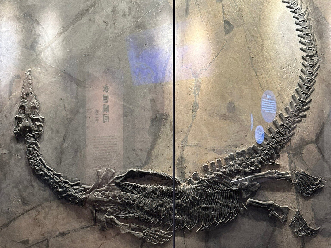 安顺地区博物馆-安顺市必去景点