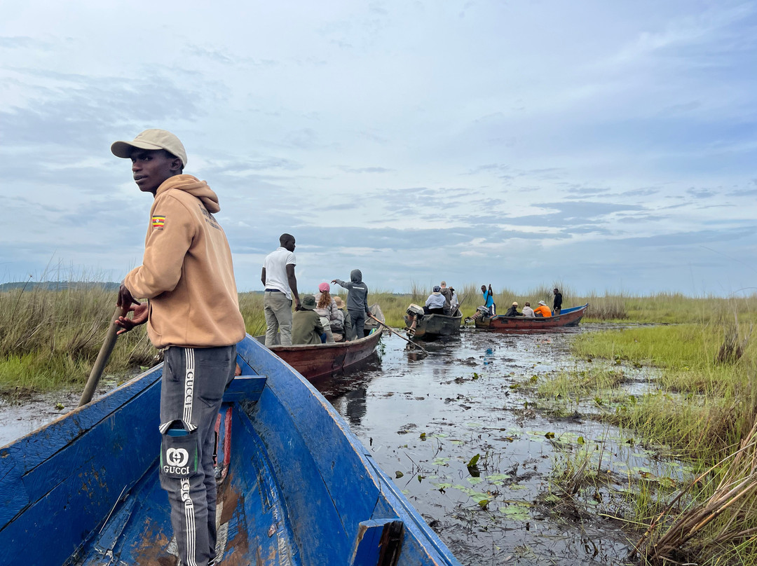 Mabamba Swamp Shoebill Bird Watching-恩德培必去景点