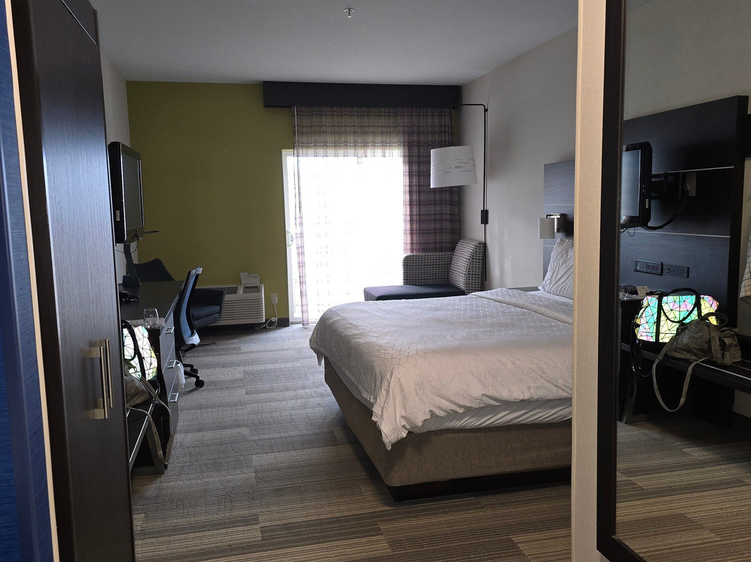 海滨会展中心快捷假日&套房酒店主图