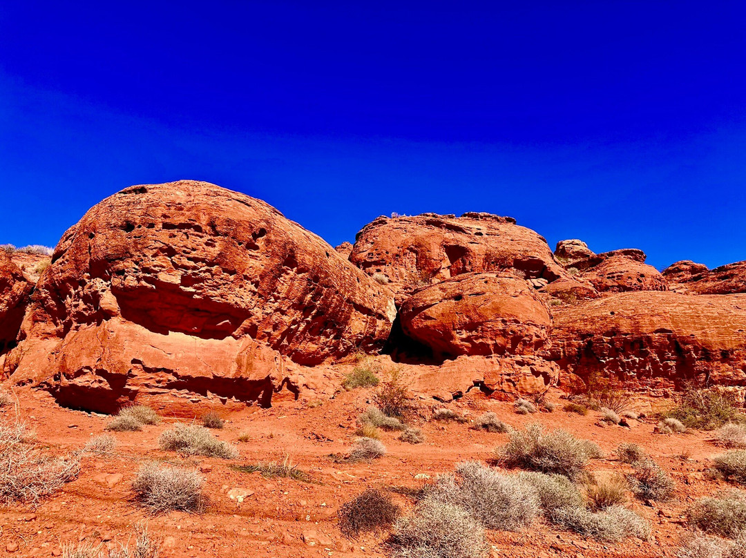 Red Hills Desert Garden-圣乔治必去景点
