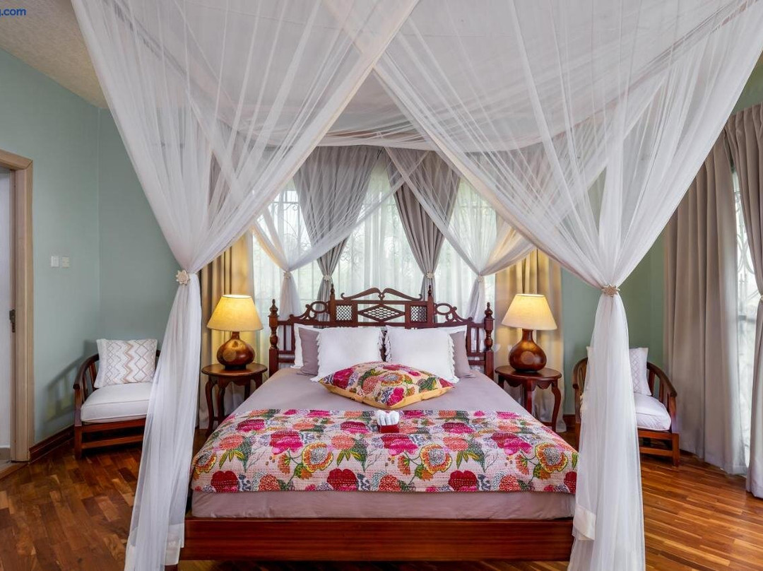 Ewaange - A Casa Mia主图