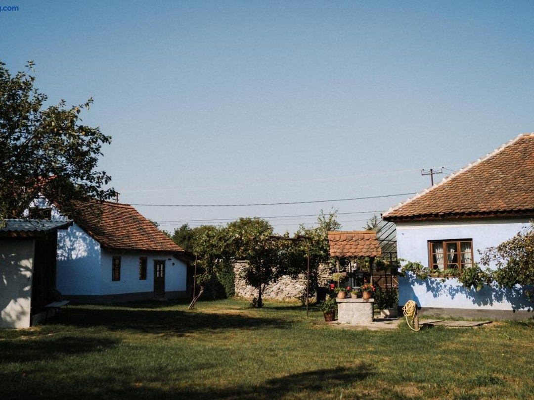 Porumbacu de Sus酒店住宿-La Mama Anica