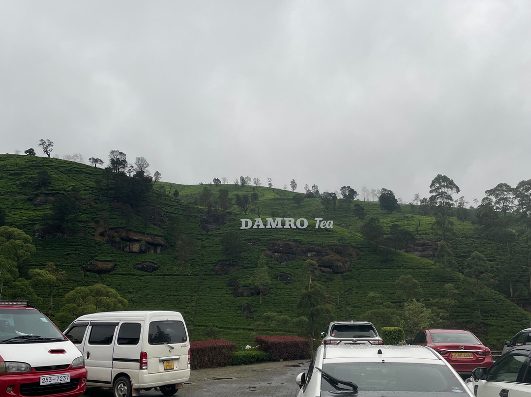 Drive with Nuwan-Pamunugama必去景点